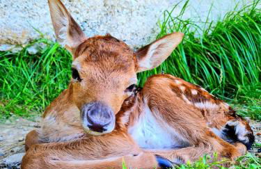 Residence Casa Silvana - Foto 16