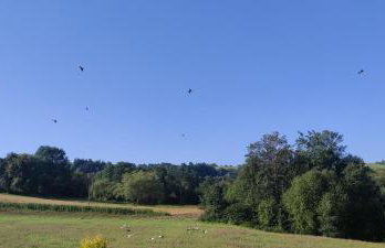 Korzenny Domek - Foto 34