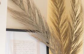 APARTAMENTOS VITA CENTER - Foto 11