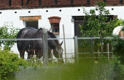 Ferienhaus Arendsee - Foto 8