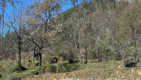 VILLA DELLE ROSE CINQUE TERRE - Foto 3