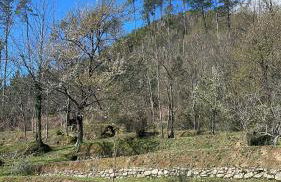 VILLA DELLE ROSE CINQUE TERRE - Foto 3