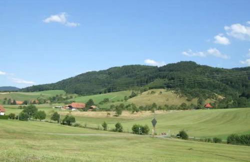 Sonniges-naturnahes-Schwarzwald-Ferienhaeuschen - Foto 18