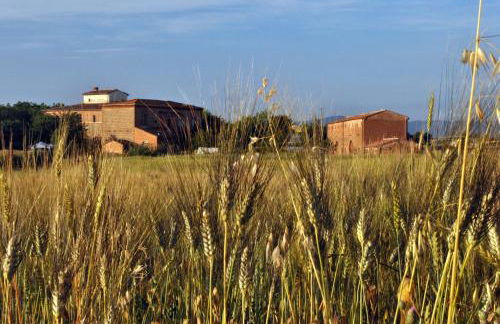 Agriturismo Podere Padolecchie - Azienda Agricola Passerini - Foto 12