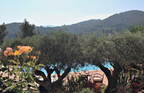 Can Pardal - Foto 36