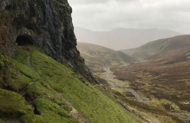 Wallaby’s - Foto 15