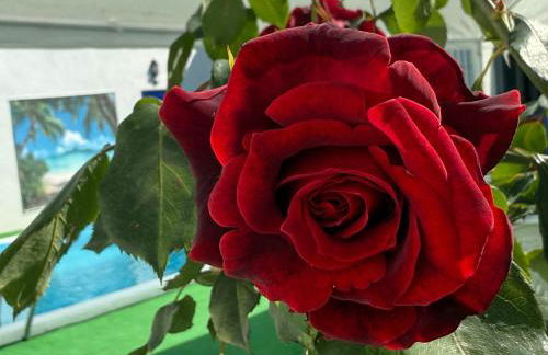 La Casa del Flamenco - Foto 59