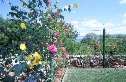 Villa Roze - Foto 35