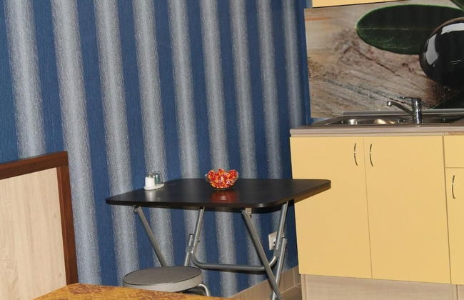 Sochi Sakvoyage Apartments - Photo 35