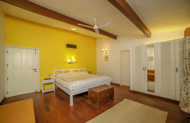 Rayne Forest - Foto 8