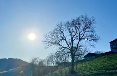 Landferienwohnung Simon - Foto 26