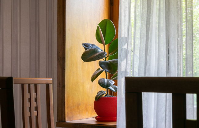 HB apartments Akhvelediani - Foto 38