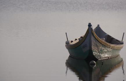 Forest Terrace Praia de Mira - Foto 71