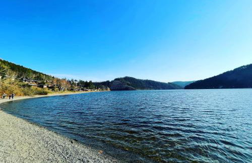 AR Apartments II I 5 Pers I Prime I Küche I WLAN I am Thüringer Meer - Foto 46