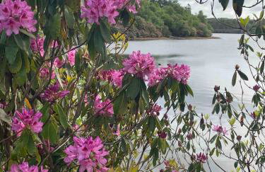 Walkers Retreat with garden and views - Photo 34