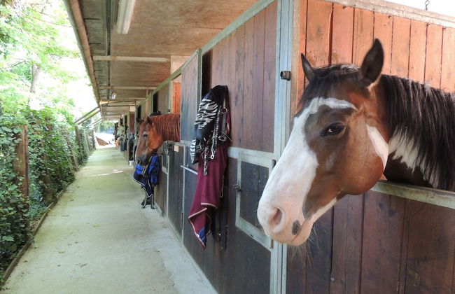 Agriturismo Corte Benedetto - Foto 66