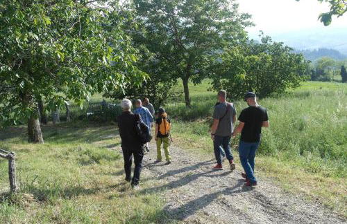 Corte San Ruffillo-Azienda Agrituristica - Foto 38