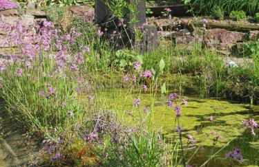 Wohnung mit Sauna, Garten & Schwimmteich - Foto 34