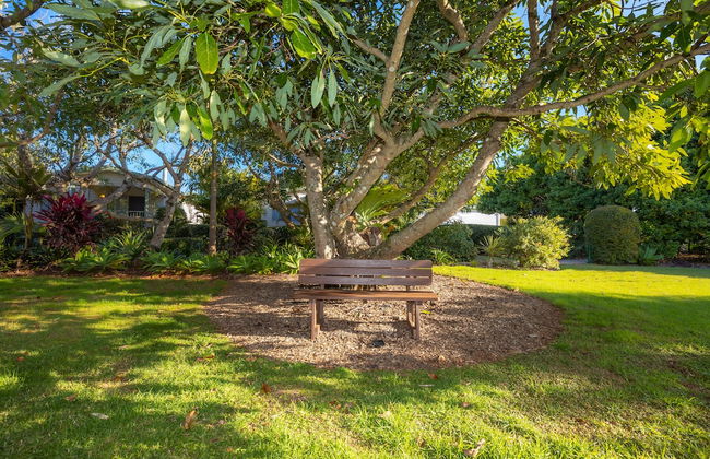 Camelot Boutique Accommodations - Foto 1