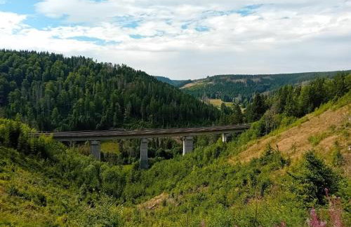 Lauschablick FeWo Thüringen - Foto 19