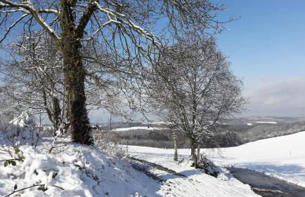Haus Resi in Kleinich - Foto 26