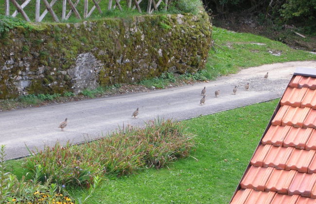 Welcome to Casa Terracotta a Cosy Self-catering Holiday Home - Photo 26