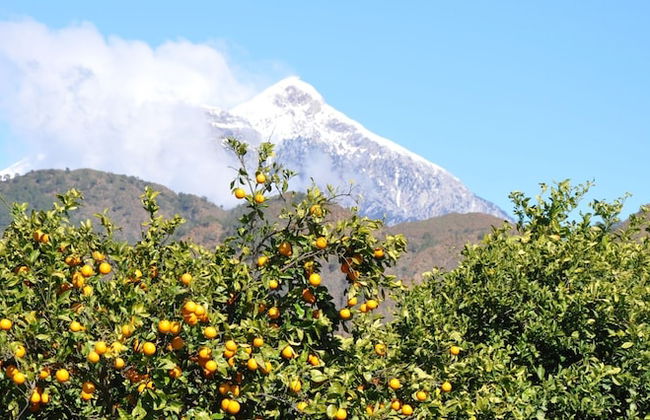Akdeniz Bahcesi - Foto 26