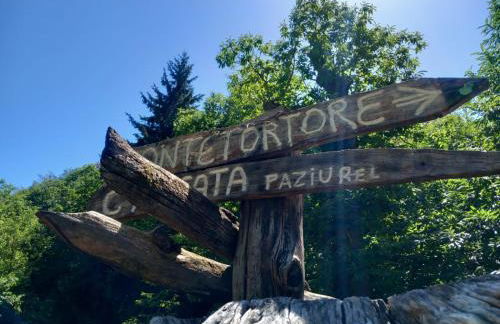 Casale immerso nella natura - Photo 7