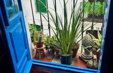 Guesthouse La Tienda - Foto 17