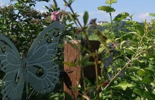 Ferienhaus Nr 2 - Das kleine Haus im Haus - Foto 4