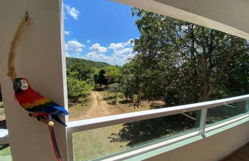 Granja Vale das Águas - Foto 36