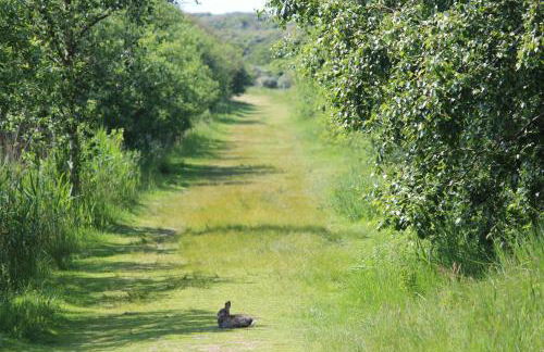 Seevilla Wietjes Whg 7 - Foto 34