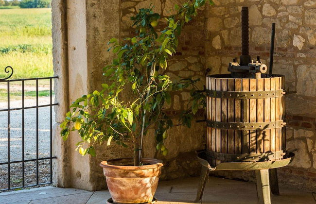 Tigli Apartment With two Bedrooms and one Bathroom on the Second Floor With 4 Metre Glass Window Apartment 6 - Photo 36