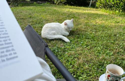 Les Cottages d'Orient Gite Boutique - Foto 32