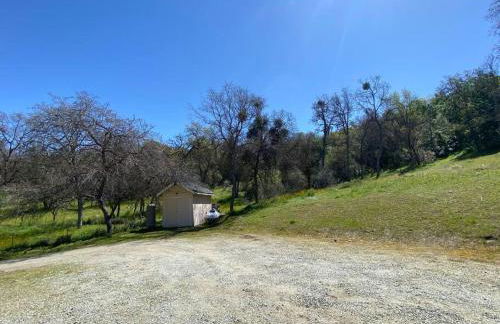 Waxberry Getaway Sequoia/Kings Canyon National Pks - Foto 12