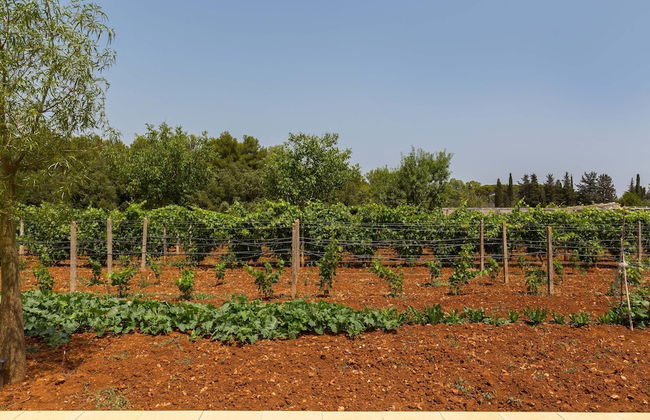 3048 Villette Tundo by Barbarhouse - Foto 32