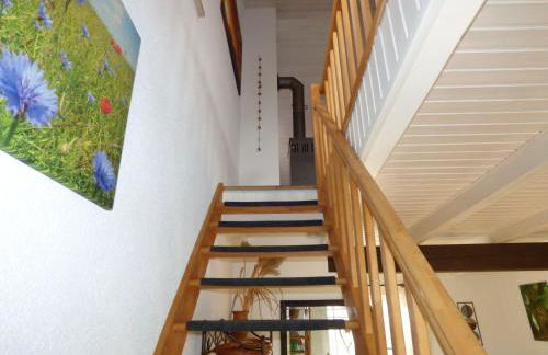 Ferienhaus-Natur-Erholung-Pur-Mecklenburgische-Seenplatte-zwischen-Mueritz-und-Ostsee - Foto 15