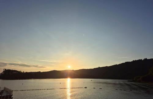 Chalet au lac de la raviège - Foto 22