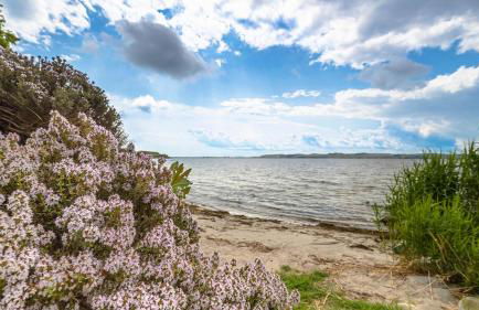 Haus Seeblick mit 9 Wohnungen - Foto 7