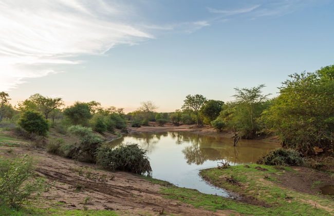 The Dreamcatcher Lodge - Photo 21