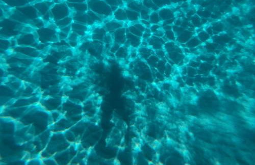 La Casa di Dario - Foto 35