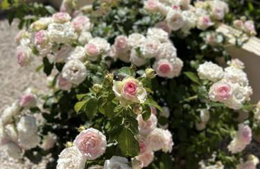 Casa do Pomar by Portucasa - Foto 103