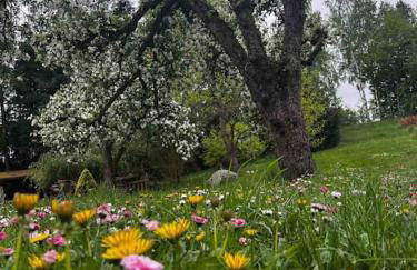 Apartament w ,chlewiku” - Photo 5