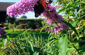 Ferienhof Fenzl - Foto 15