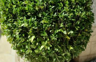 Lieblingshaus mit beheizten Privatpool und Ladesäule - Foto 32