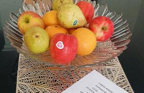 Valley Apartamentos T1 - Foto 11