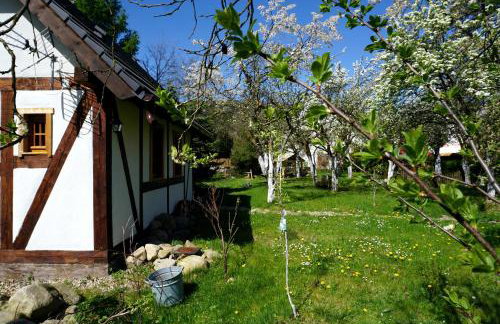 Górski Sad - Bazylia - Foto 11