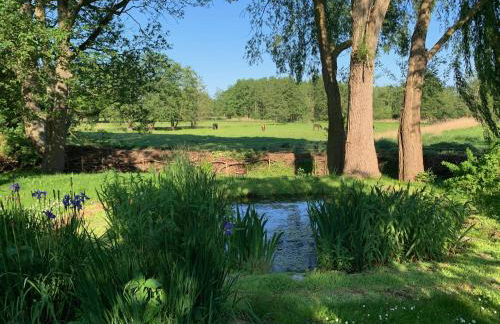 Ferienhaus Clara - Foto 6