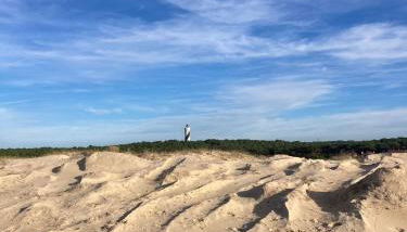 Vue Phare - Au Coeur de Contis Plage - Foto 4