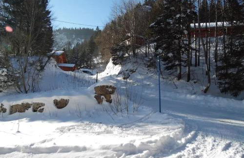 Tonneau Col de la Faucille - Foto 10